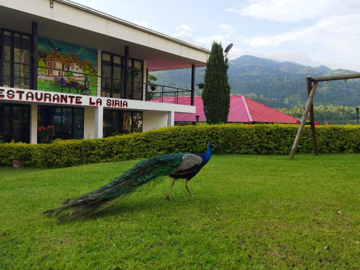 Hotel & Restaurante Campestre La Siria San Juan de Rioseco Exteriér fotografie